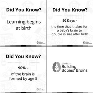 Babies Brains Post 